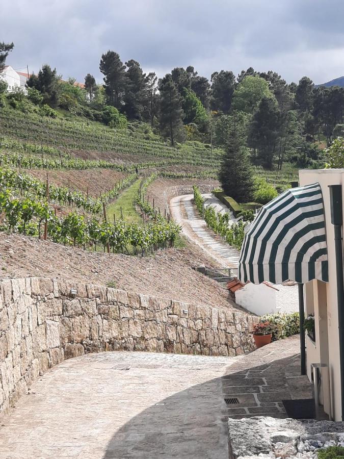 Quinta Da Timpeira Konuk evi Lamego Dış mekan fotoğraf