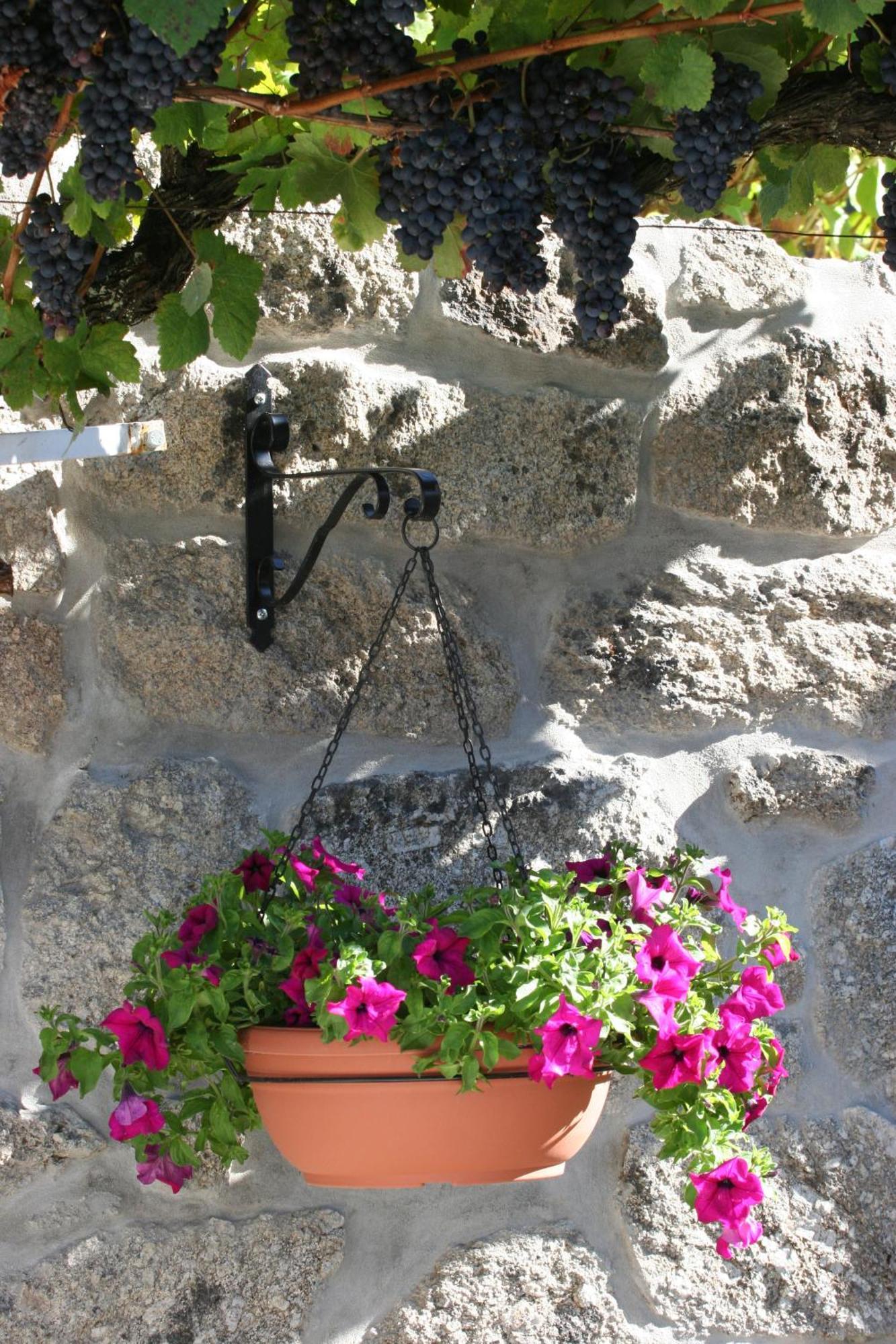 Quinta Da Timpeira Konuk evi Lamego Dış mekan fotoğraf